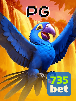 735 BET bônus — cashback 15 por cento e níveis VIP